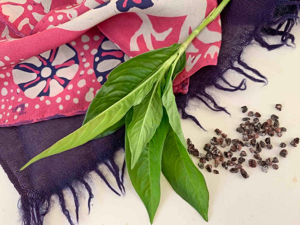 Green leaves of Japanese indigo are shown in top of a pink, white and purple silk scarf with a stylised floral motif. There are small seed-like grains on the right which are cochineal